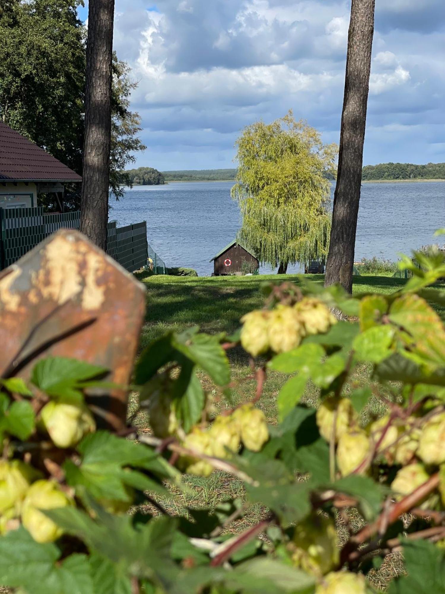 Urlaub Am Plaetlinsee Haus Rike Wustrow  Eksteriør billede
